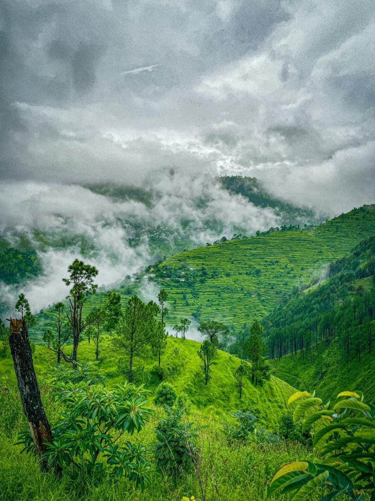 Katarmal (Almora)